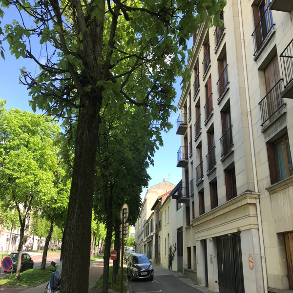 Offres de vente Appartement Versailles 78000